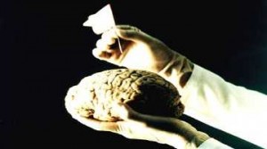 poster-1444250931082