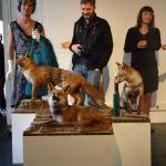 vernissage_renard