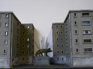 Le renard dans la ville